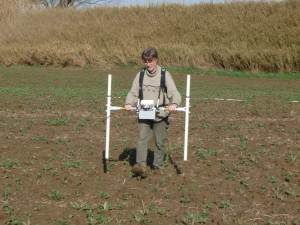 David Knight undertaking magnetometry in the vicinity of the Tiber levee on the Isola Sacra in 2008