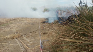 Burning sugar cane chaff promises to engulf the ERT equipment